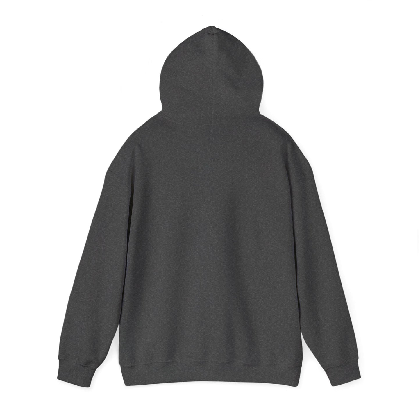 Senior Crown with Bow Hoodie | Senior Year 2027 Sweatshirt | Back to School | Last Year College | Teen Gift | Class of 2027 Cozy Pullover